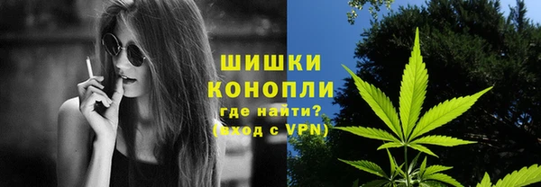 PSILOCYBIN Аркадак