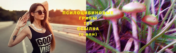 гидра Армянск