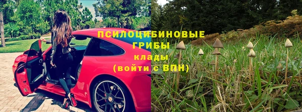гидра Армянск