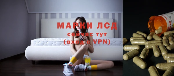 PSILOCYBIN Аркадак