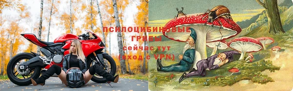 PSILOCYBIN Аркадак