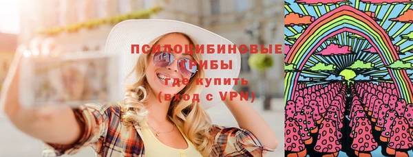 PSILOCYBIN Аркадак