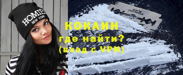 PSILOCYBIN Аркадак