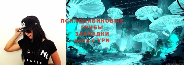 apvp Арсеньев
