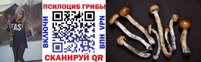 Псилоцибиновые грибы GOLDEN TEACHER  хочу   Нарткала 